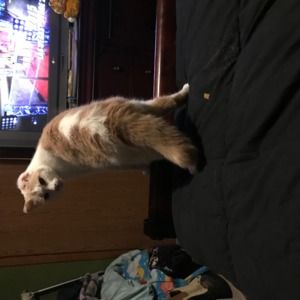 Meet your Posher, Cheryl